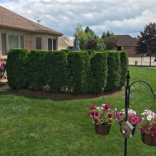 Landscaping Rochester Michigan, Rochester Landscaping Services